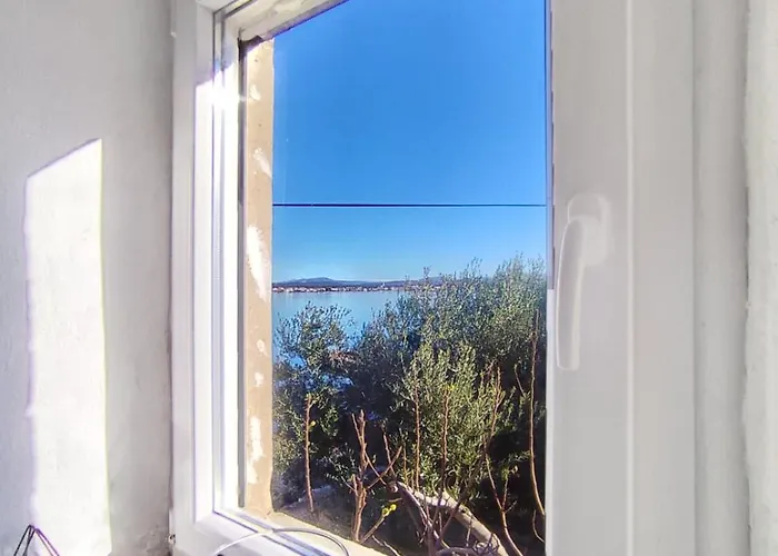 Islandbreeze * פרוויץ' שפורינה